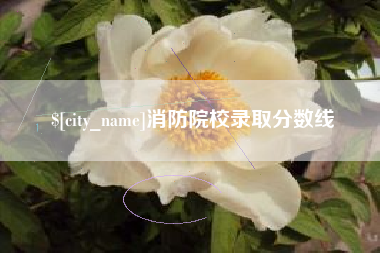 沈阳消防院校录取分数线