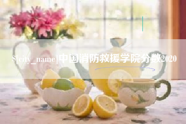 沈阳中国消防救援学院分数2020