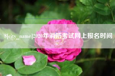 沈阳2020年消防考试网上报名时间