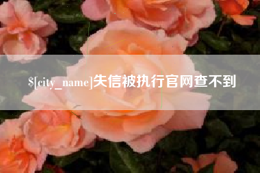 沈阳失信被执行官网查不到