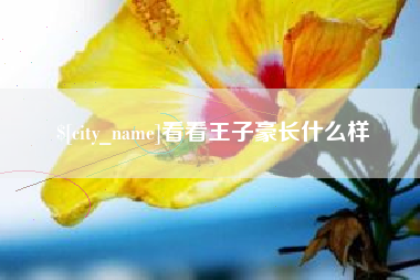 沈阳看看王子豪长什么样
