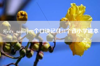 沈阳一个口诀记住34个省小学课本