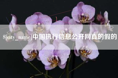沈阳中国执行信息公开网真的假的