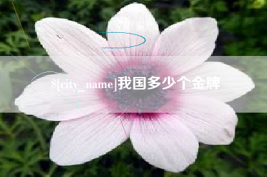 沈阳我国多少个金牌