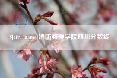 沈阳消防救援学院四川分数线