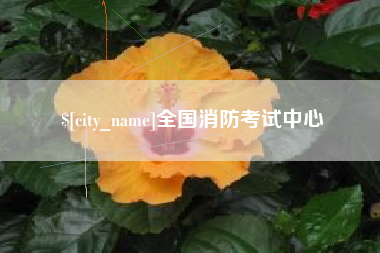 沈阳全国消防考试中心