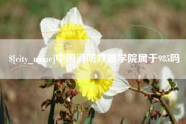 沈阳中国消防救援学院属于985吗