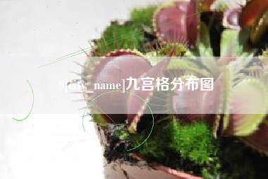 沈阳九宫格分布图
