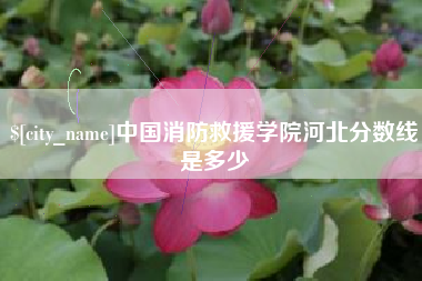 沈阳中国消防救援学院河北分数线是多少