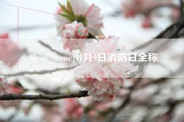沈阳11月9日消防日全称
