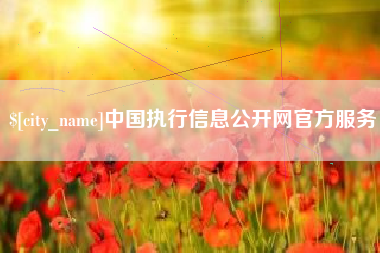 沈阳中国执行信息公开网官方服务