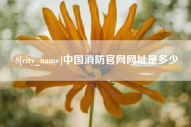 沈阳中国消防官网网址是多少