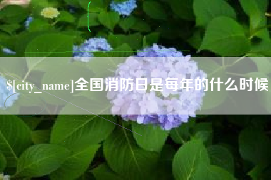 沈阳全国消防日是每年的什么时候
