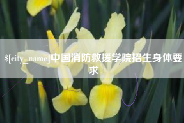 沈阳中国消防救援学院招生身体要求