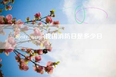 沈阳我国消防日是多少日