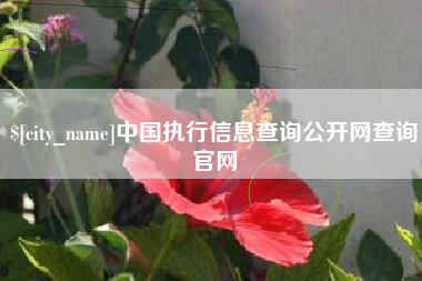 沈阳中国执行信息查询公开网查询官网