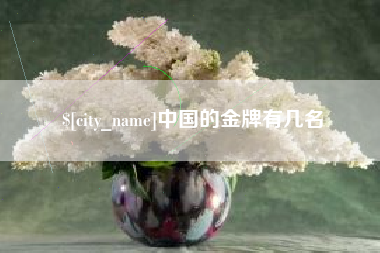 沈阳中国的金牌有几名