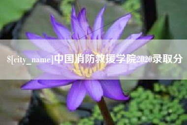 沈阳中国消防救援学院2020录取分