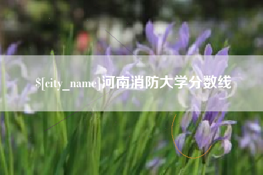 沈阳河南消防大学分数线
