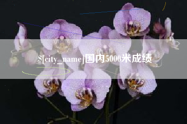 沈阳国内5000米成绩