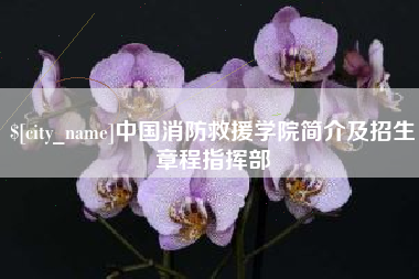 沈阳中国消防救援学院简介及招生章程指挥部