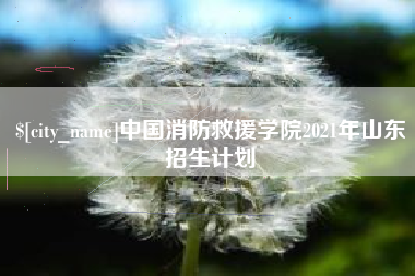 沈阳中国消防救援学院2021年山东招生计划