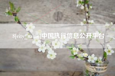 沈阳中国执行信息公开平台