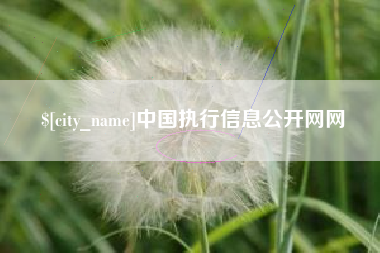 沈阳中国执行信息公开网网
