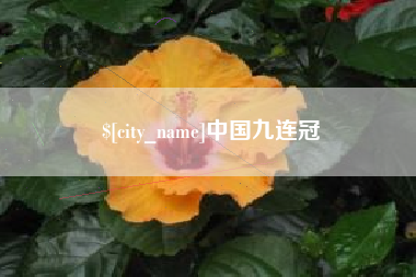 沈阳中国九连冠