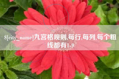 沈阳九宫格规则,每行,每列,每个粗线都有1-9