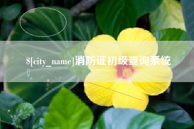 沈阳消防证初级查询系统