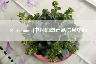 沈阳中国消防产品信息中心