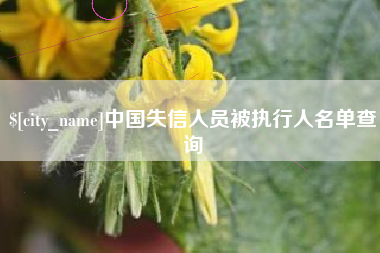 沈阳中国失信人员被执行人名单查询
