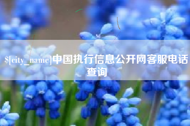 沈阳中国执行信息公开网客服电话查询