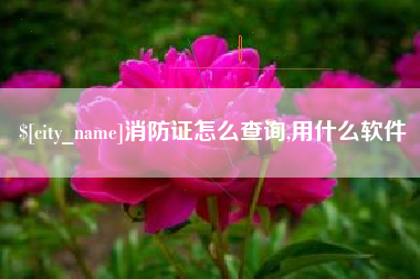 沈阳消防证怎么查询,用什么软件