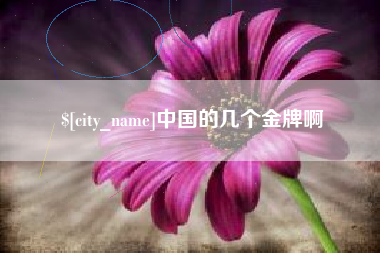 沈阳中国的几个金牌啊