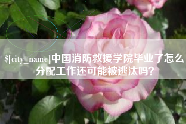 沈阳中国消防救援学院毕业了怎么分配工作还可能被逃汰吗？