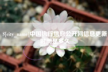 沈阳中国执行信息公开网信息更新时间是多久