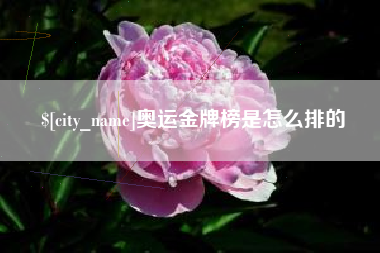 沈阳奥运金牌榜是怎么排的