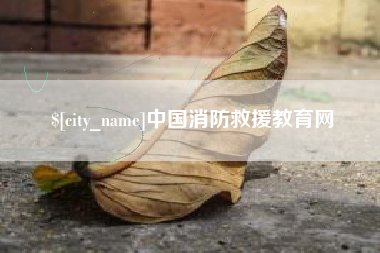 沈阳中国消防救援教育网