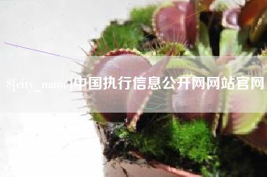 沈阳中国执行信息公开网网站官网