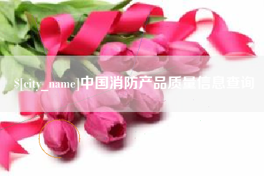 沈阳中国消防产品质量信息查询