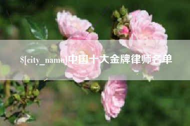 沈阳中国十大金牌律师名单