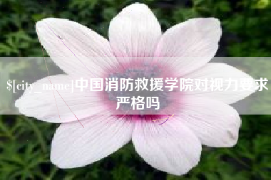 沈阳中国消防救援学院对视力要求严格吗