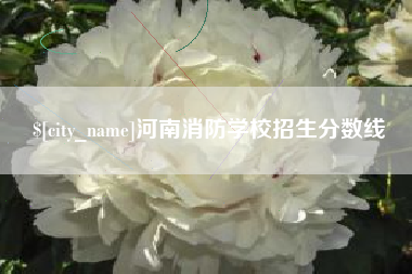 沈阳河南消防学校招生分数线