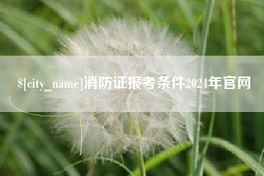 沈阳消防证报考条件2024年官网