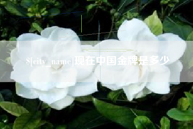 沈阳现在中国金牌是多少