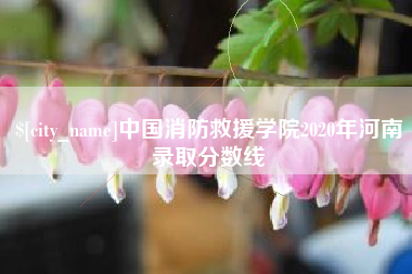 沈阳中国消防救援学院2020年河南录取分数线