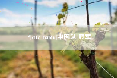 沈阳中国队 冠军