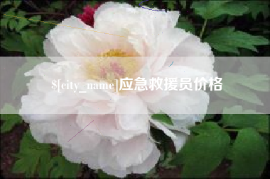 沈阳应急救援员价格